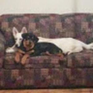 Meet your Posher, Andrew